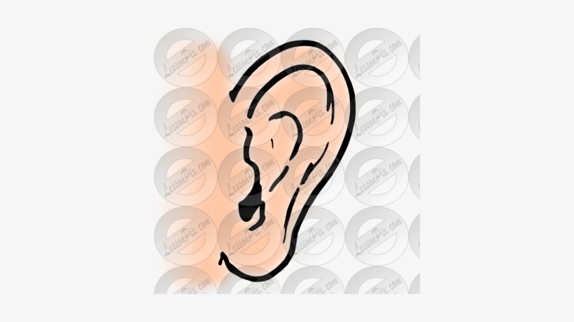 Ear Clip Art - Ear Outline, transparent png #3963384