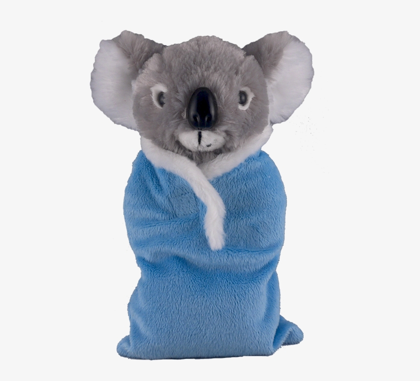Bear With Me Plush Koala 8" With Personalized Blue - Stuffed Toy, transparent png #3963586