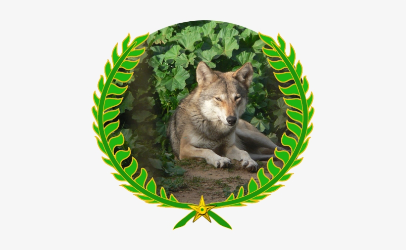 Այս Նիշքը Տեղադրված Է Վիքիպահեստում - Wolf, transparent png #3964061