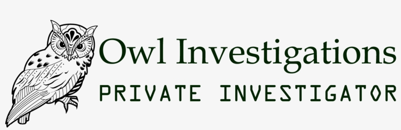 Amongst The Services We Offer Private Investigator - Texas Insurance Coverage Litigation- The Litigator's, transparent png #3964263