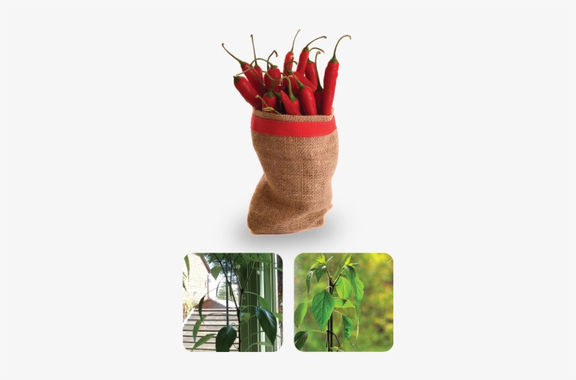 Compost-bin - Woolen, transparent png #3964264