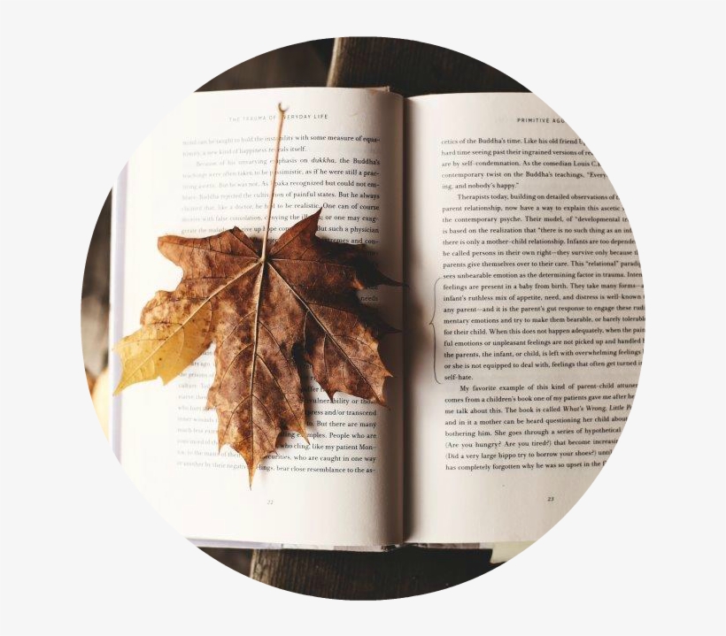 Over 100 Pounds Of Food Was Raised For The Larimer - إقتباسات راقية من كتب, transparent png #3964384