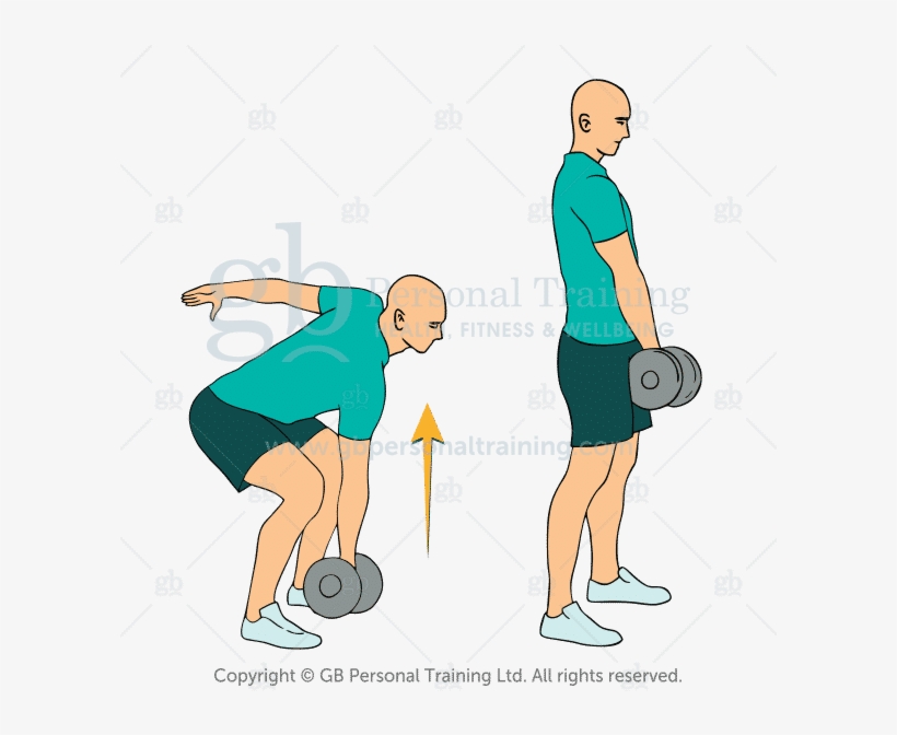 Dumbbell Deadlift Exercise - Exercise, transparent png #3964439