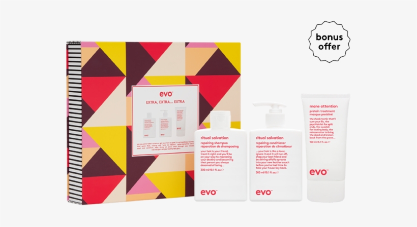 Evo Repair Extra Extra Extra Hero - Aktion - Evo Them Feels Repair Rad Bag 2 X 300 Ml +, transparent png #3964778