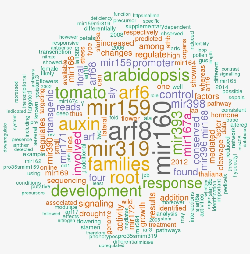 Stem Loop Sequence Ath Mir167b - Prognostic And Health Management, transparent png #3964825