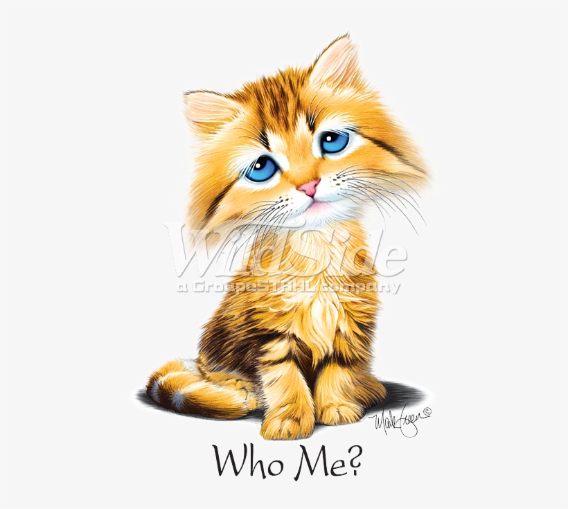 Kitten, transparent png #3966826