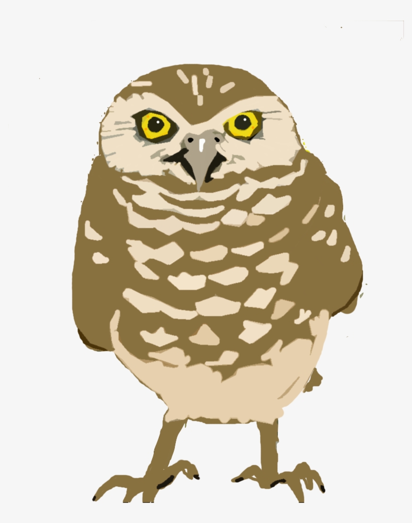 Boy Transparent Angel - Burrowing Owl Clipart, transparent png #3966915