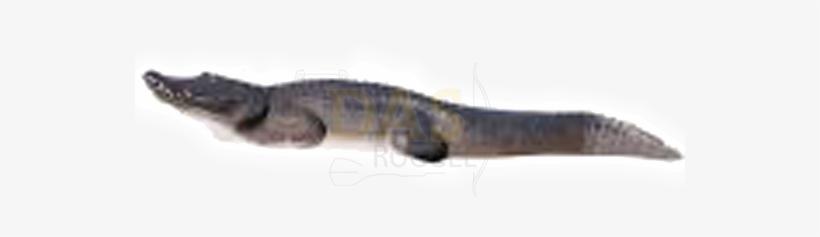 Picture Of Delta Alligator - Delta Mckenzie Outdoor Hunting 20820 Pro 3d - Alligator, transparent png #3967052