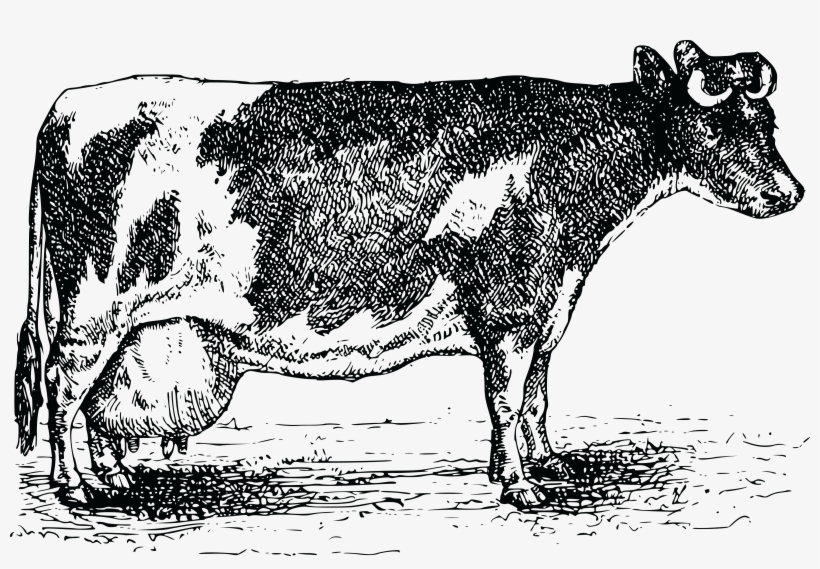 Free Clipart Of A Cow - Santos Red One Gewürzpräparat 300g Streudose, transparent png #3968427