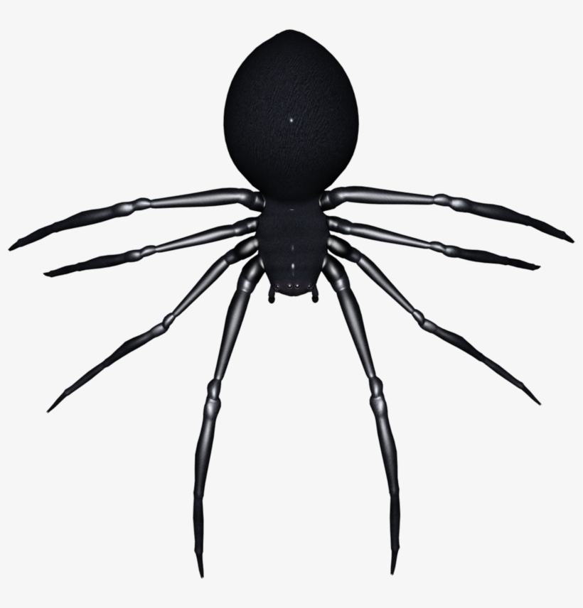 Halloween Image Art - Widow Spiders, transparent png #3970315