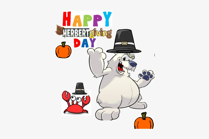 Funny Picture -3 - Club Penguin Klutzy, transparent png #3970758