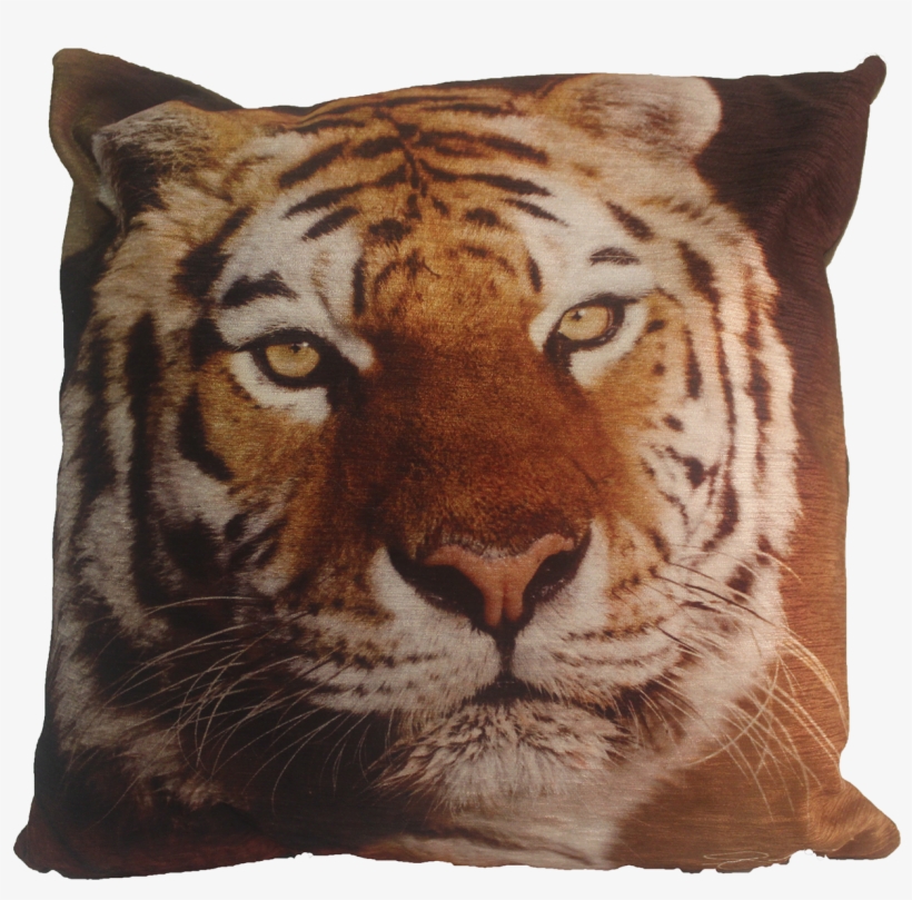 43cm Cushion Tiger - Cushion, transparent png #3972607