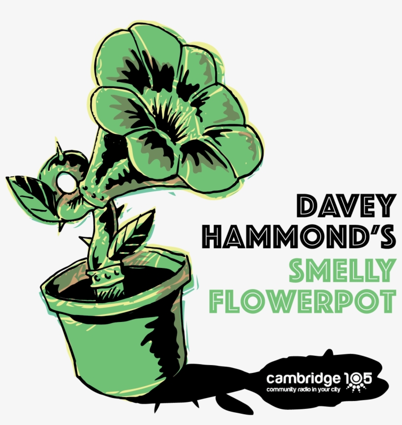 Smelly Flowerpot Radio Show Ident - Mor Thiam: Dini Saffarar (drums Of Fire) Cd, transparent png #3972898