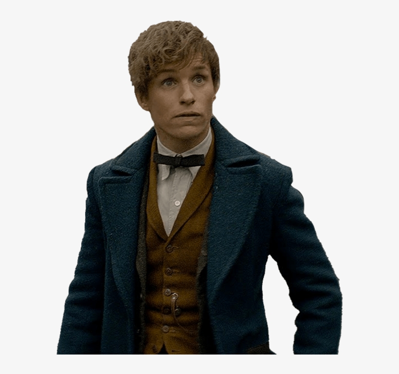 Newt Scamander - Fantastic Beasts And Where To Find Them: Newt Scamander:, transparent png #3973196