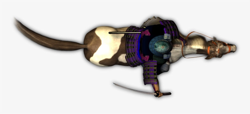 Image - Horse Rider Top View, transparent png #3973328