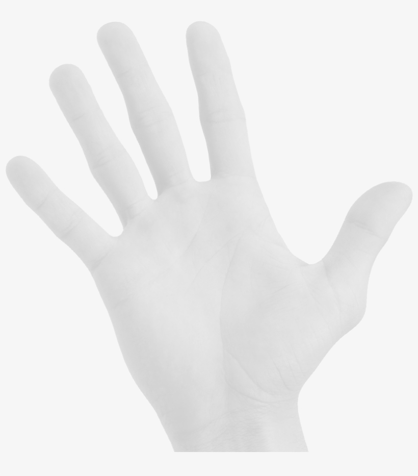 Hand Therapy Inc-bellingham, transparent png #3974762