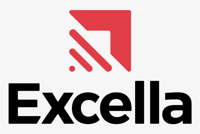 Agility Support - Excel 2010: The Missing Manual, transparent png #3974877