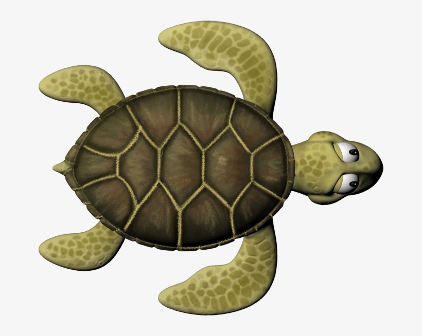 Sea Turtle - Kemp's Ridley Sea Turtle, transparent png #3975631