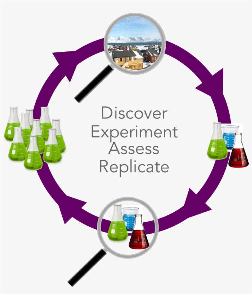 Dear Model, transparent png #3975634