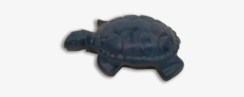 Olive Ridley Sea Turtle, transparent png #3975723