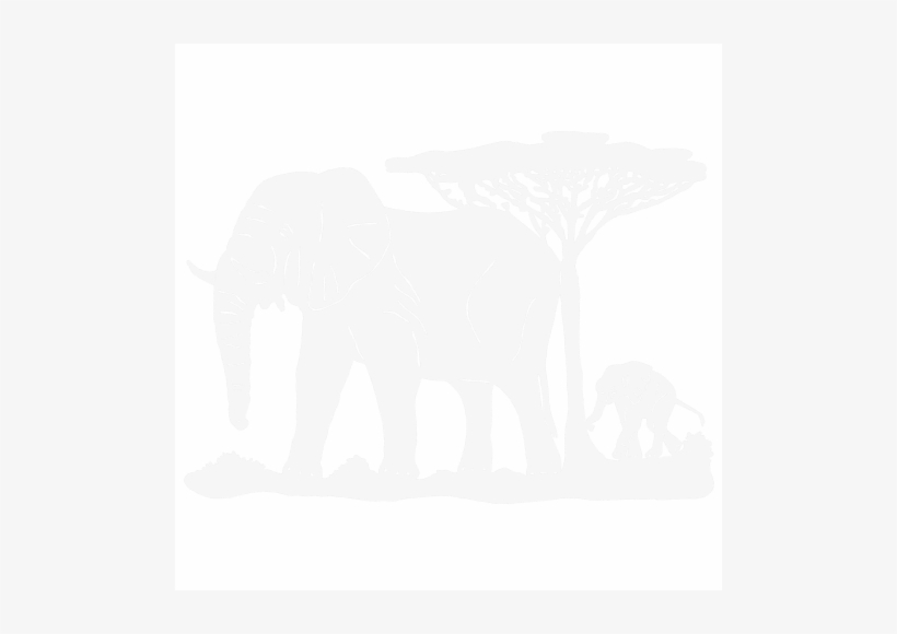 Trail Of The Elephant - Indian Elephant, transparent png #3975726