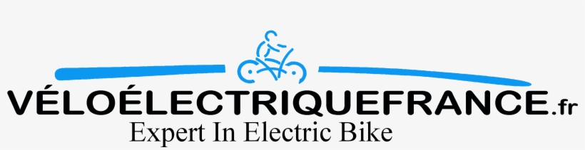 New Logo 3 - Janis Joplin, transparent png #3976125