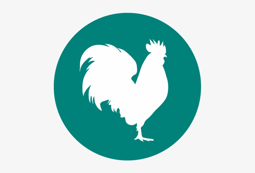 Avian Influenza - Agence Immobilière L Adresse, transparent png #3976217