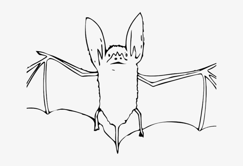 Cute Bat Clipart - Bat Coloring Pages, transparent png #3976738