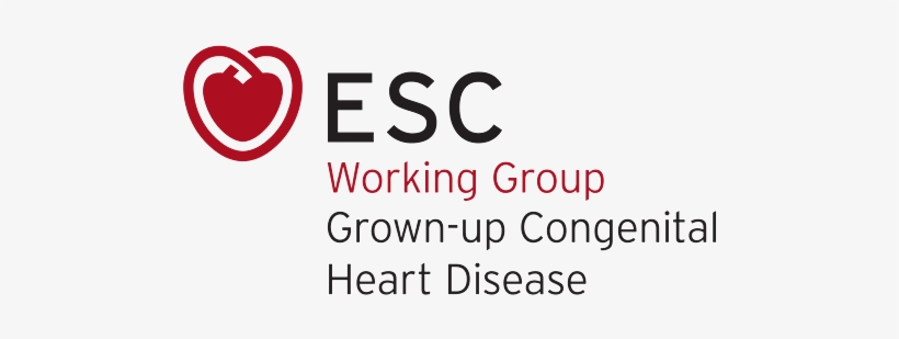 European Society Of Cardiology, transparent png #3976779