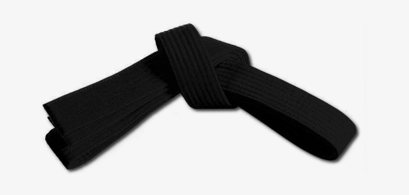 Black Belts Of Tokon Shotokan Karate - Black Karate Belt Png, transparent png #3976976