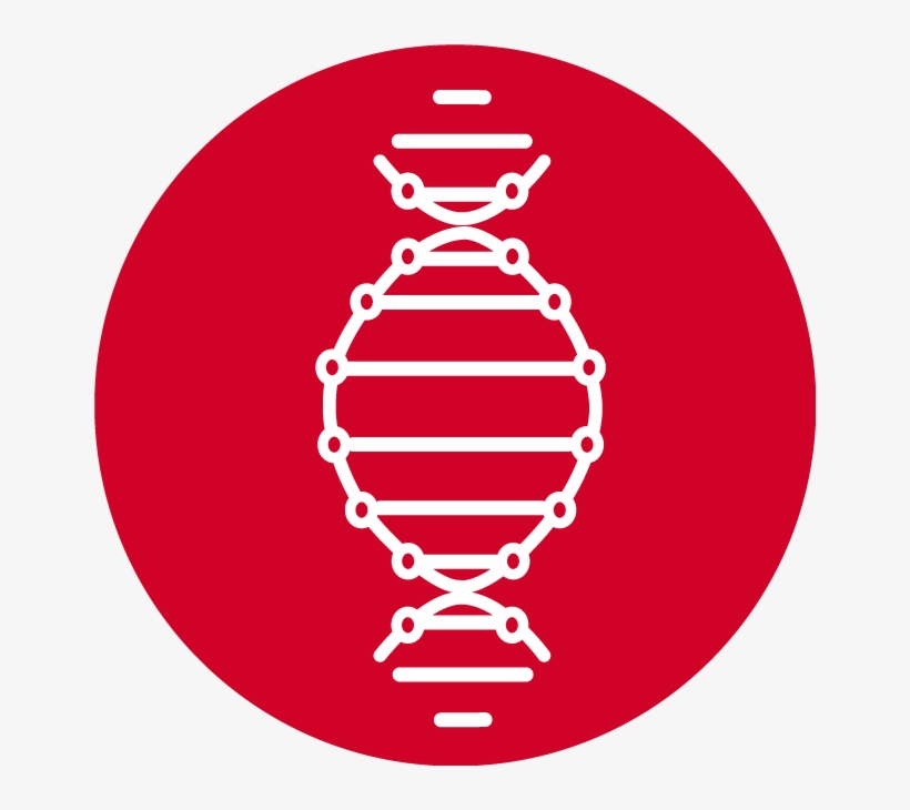 Mt - Emblem, transparent png #3977114