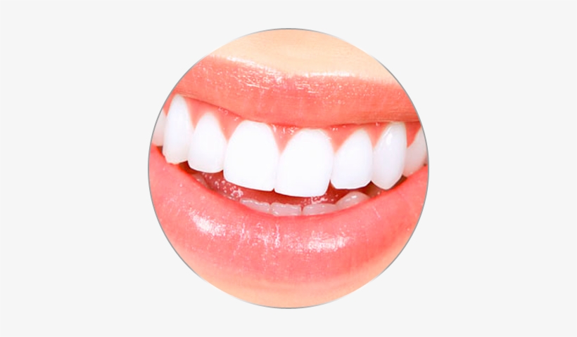 If You Are Not Satisfied With Your Current Smile Or - Oriole Park At Camden Yards, transparent png #3977677