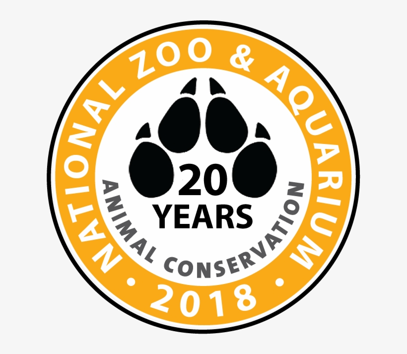 20 Year Logoaaa With No Stamp, transparent png #3978807