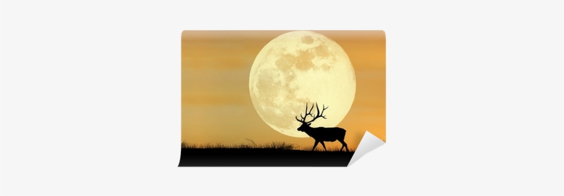 Wissenmedia Kalender - Postkartenkalender Sonne Und, transparent png #3979032