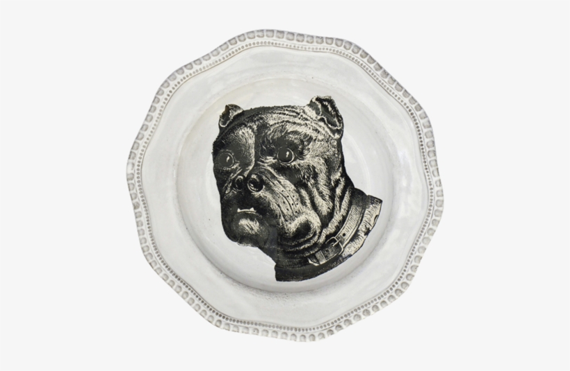 Bulldog Soup Plate - Portable Network Graphics, transparent png #3980416