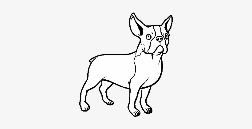 French Bulldog Dog Coloring Page - Dibujos De Perros Bulldog Frances, transparent png #3980838