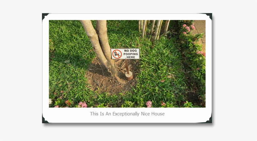 No Dog Pooping - Germanys Next Topmodel 2012, transparent png #3981705