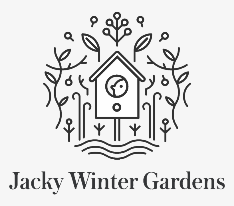 Jacky Winter, transparent png #3982005