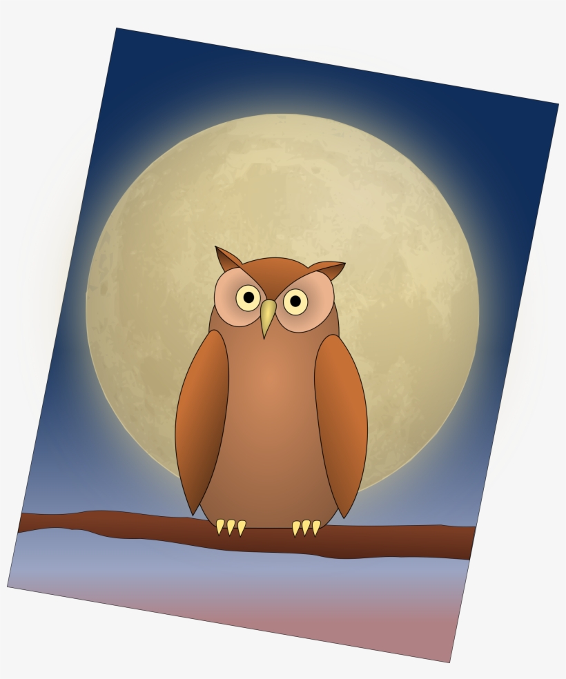 Big Image - Owl, transparent png #3982852