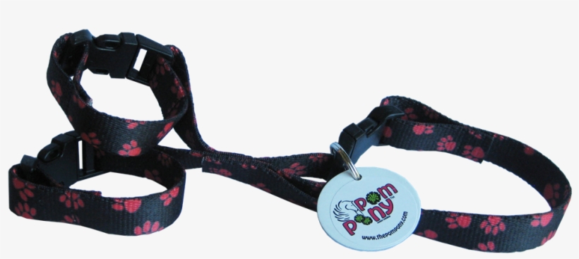 Paw, transparent png #3984535