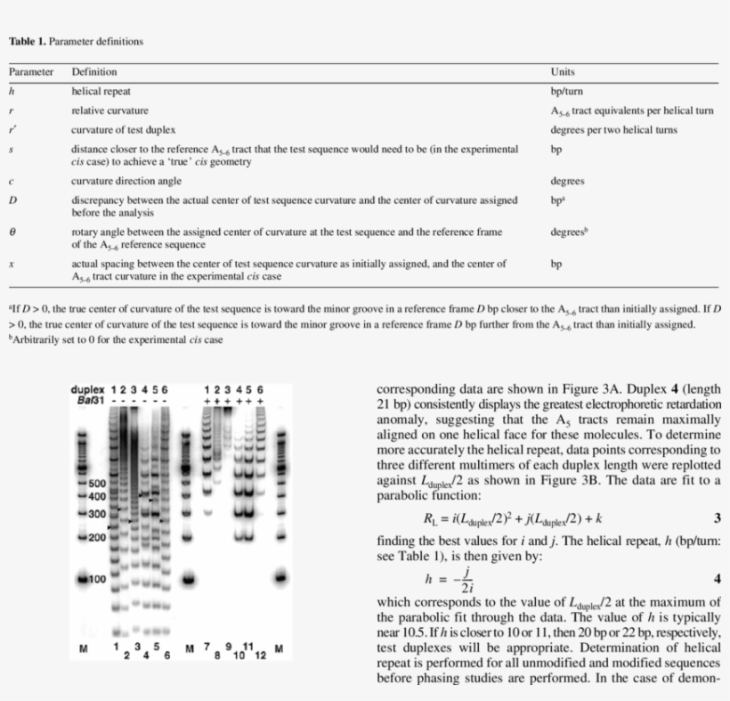 Image Obtained After Native Gel Electrophoresis Of - Gel Electrophoresis, transparent png #3984693