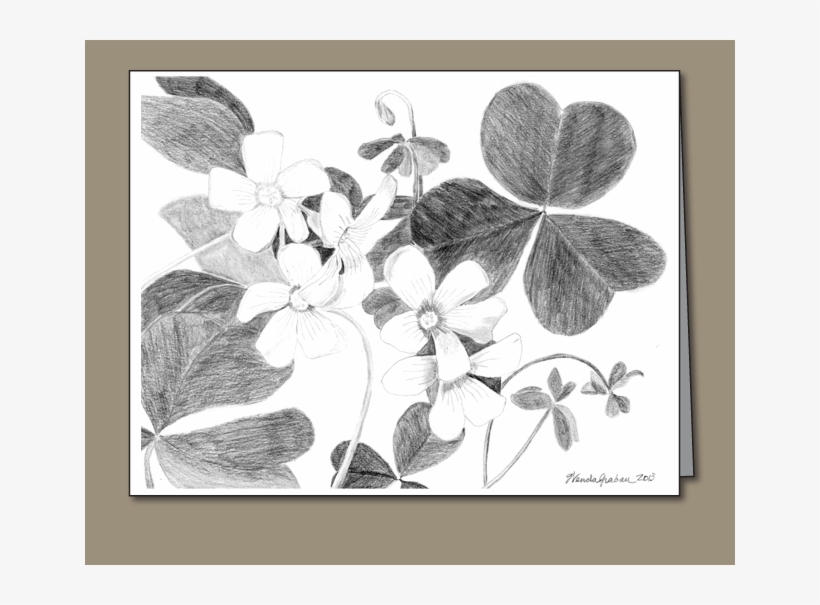 Shamrock Pencil Drawing, transparent png #3985767