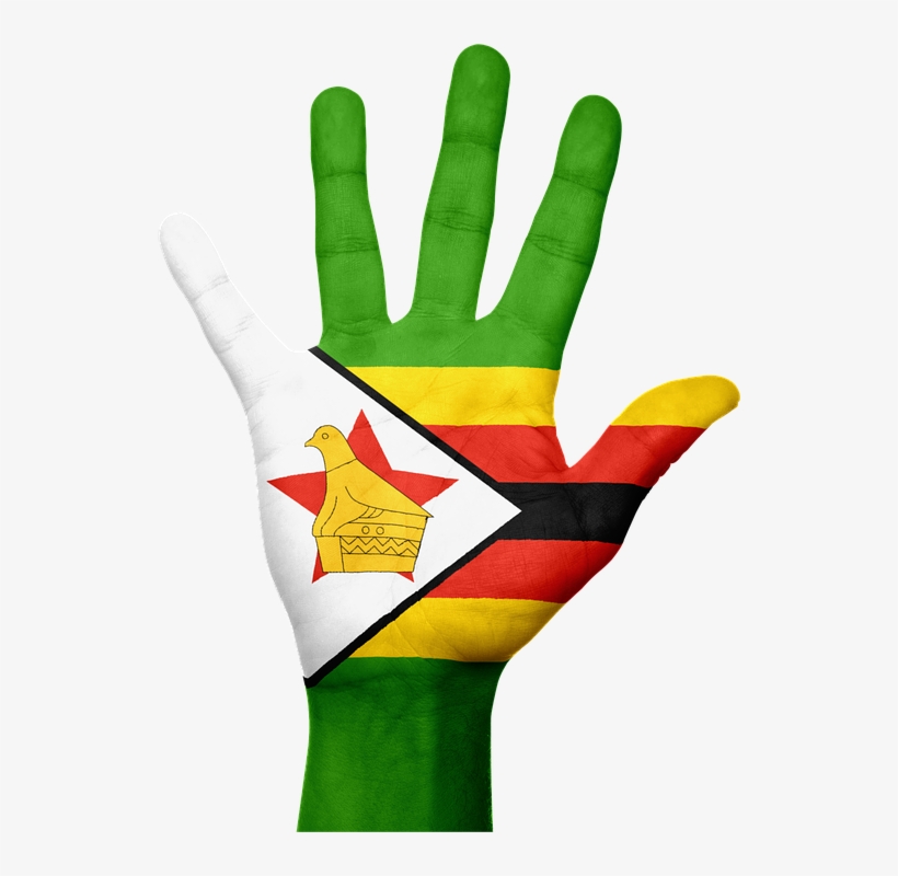 In Zimbabwe, Being Smart Was The “cool” Thing - Zimbabwe Flag Vector, transparent png #3986012