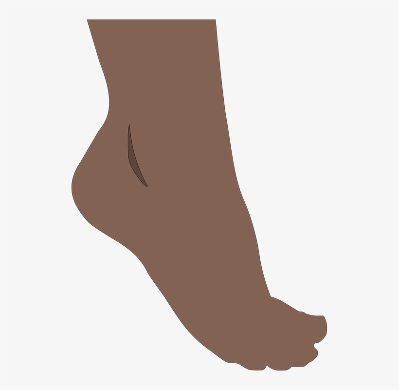 Foot, Feet, Toes, Barefoot, Human, Pedicure, Spa, Sole - Foot Clipart Png, transparent png #3986197