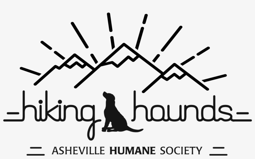 One Of Our Most Popular Volunteer Activities Is Our - Calligraphy, transparent png #3986353