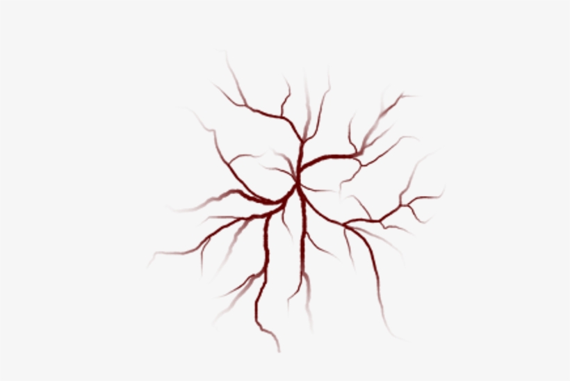 Png Veins, transparent png #3988493