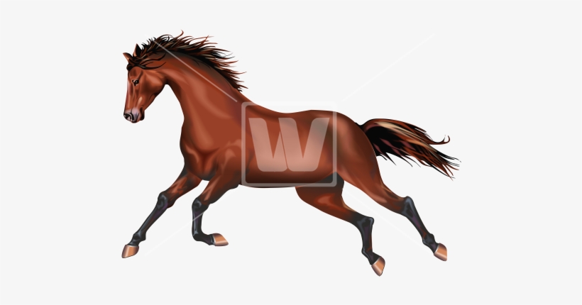 Galloping Wild Mustang - Horse, transparent png #3990023