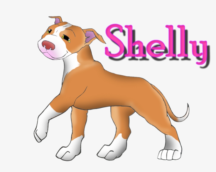 Shelly From Caragan Kennels Pitbulls Pitbull Dog Forums - Ancient Dog Breeds, transparent png #3990089