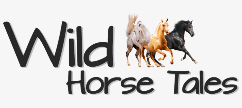 Wild Horse Tales - L'étalon Noir Et La Cité Perdue, transparent png #3990167