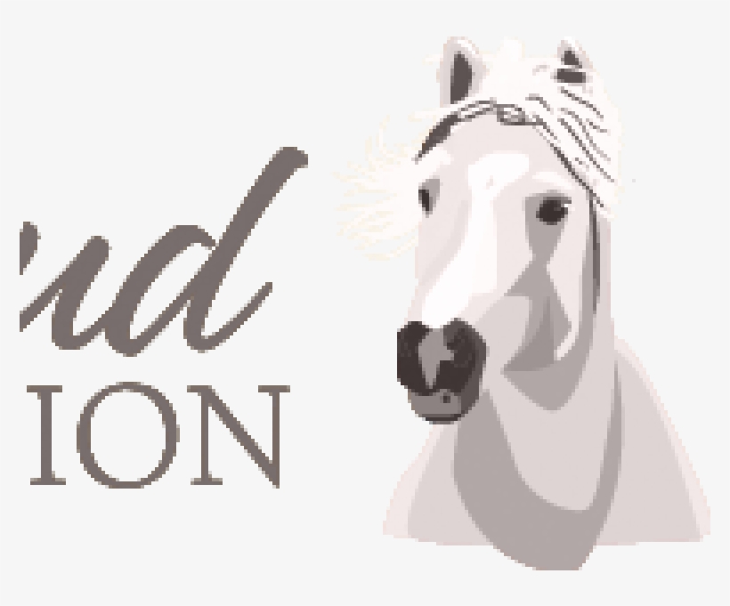 Wild Horse Advocates Appeal Court Decision - Logo, transparent png #3990229